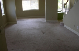 Maui living room remodel before